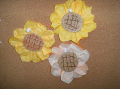 ひまわり　2018　②