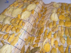 ほしいも　2019　⑤