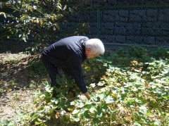 2018，9外散歩③