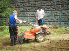 2019　さつまいも植え