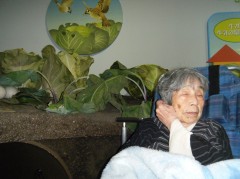 2019　サンテパルク㉑