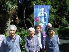 あじさいフェア　2019⑧