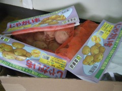 じゃがいも植えるぞ