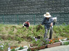 春じゃがいも2018④