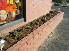 花苗植え　2018　⑥