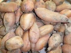 ほしいも　2019　①