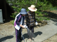 綿の種植え　2019　④