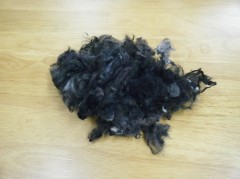 まっくろくろすけ