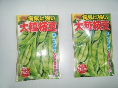 ①枝豆楽しみ
