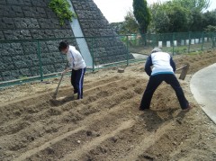 うな　へっぴり