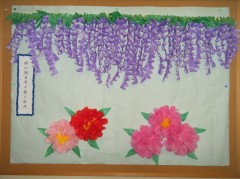 ボタン潮音寺の藤と