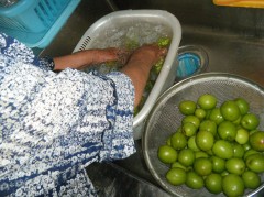 2018　梅シロップ④