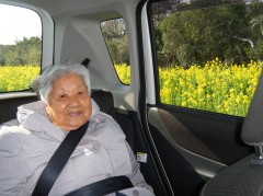 河津桜ドライブ③