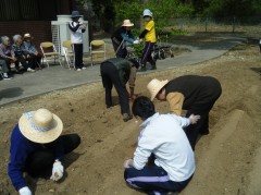 じゃがいも植えるぞ　⑥