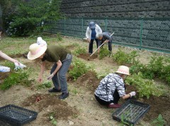 じゃがいも堀り　2019　③