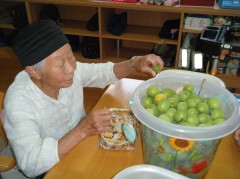 2018　梅シロップ①