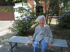 庭のあじさい　2019