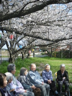 2018 　お花見⑥