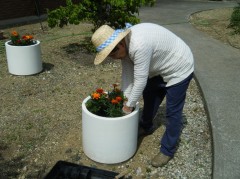 沿道花壇③