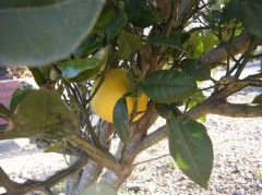 2018　ぶんたん②