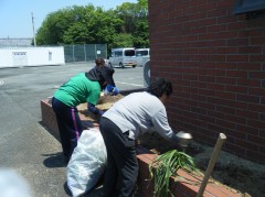 園芸　2019，５　②