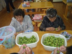 2018　梅シロップ②