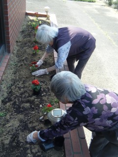 園芸活動　③