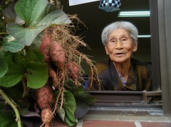 2018さつまいも掘り⑤