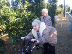 みかん狩り　2018　⑥