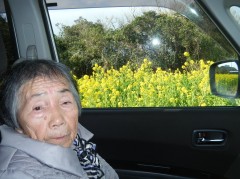 河津桜ドライブ②